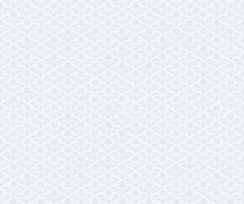 Load image into Gallery viewer, Coneflower in Cloud, Indelible Soft by Anna Maria, AMT1001-31L