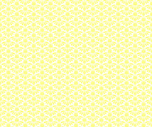 Load image into Gallery viewer, Coneflower in Sun, Indelible Soft by Anna Maria, AMT1001-52C