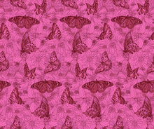 Load image into Gallery viewer, Pre-Order, Winging It in Candy by Anna Maria from Indelible Ink Collection, Northcott, AMT1006-23L