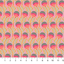 Load image into Gallery viewer, Pre-Order, Shooting Star Quilt Kit featuring Shooting Star Collection