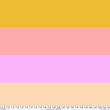 Load image into Gallery viewer, AM LOVE HUES Half Yard Bundle