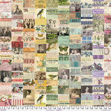 Load image into Gallery viewer, Pre-Order Eclectic Elements Palette Multi Half Yard Bundle by Tim Holtz for Freespirit Fabric
