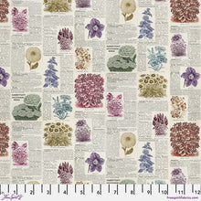 Load image into Gallery viewer, Pre-Order Eclectic Elements Palette Multi Half Yard Bundle by Tim Holtz for Freespirit Fabric