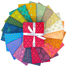 Load image into Gallery viewer, Butterfly Fields Quilt Kit