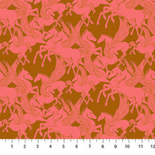 Load image into Gallery viewer, Pre-Order, Shooting Star Quilt Kit featuring Shooting Star Collection
