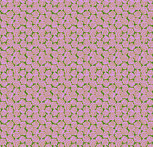 Load image into Gallery viewer, Pre-Order, Yesterday Full Yard Bundle by Anna Maria Textiles, Northcott
