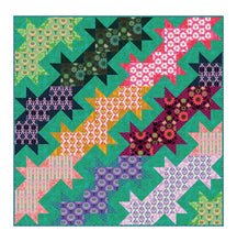 Load image into Gallery viewer, ICONIC Half Yard Bundle by Anna Maria Textiles

