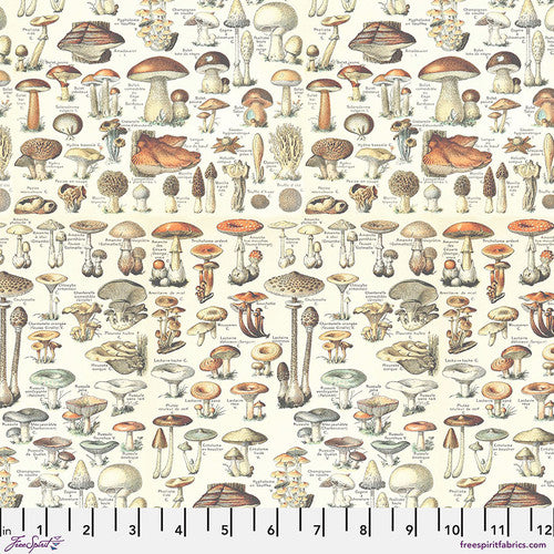 Pre-Order Orange - Toadstools from Palette Orange by Tim Holtz for Freespirit