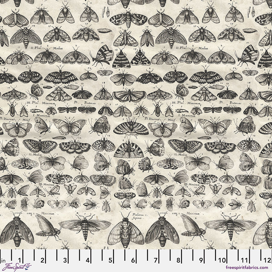 Pre-Order Moths in Charcoal from Palette Charcoal by Tim Holtz for Freespirit