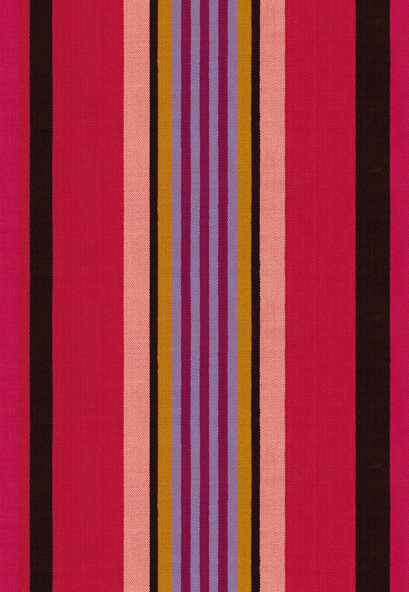 Director in Warm by Anna Maria from Narrative Collection, Northcott, WAMT105-59L