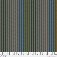 Load image into Gallery viewer, Kaffe Fassett Caterpillar Woven Stripes Half Yard Bundle
