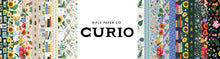 Load image into Gallery viewer, Curio in Black Metallic
