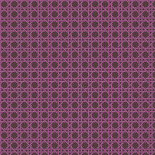 Load image into Gallery viewer, Caning in Fig
