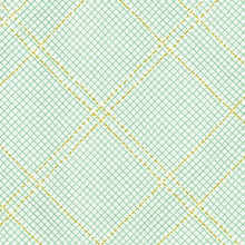 Load image into Gallery viewer, Tartan Single Border in Seafoam
